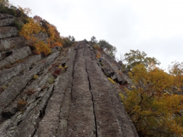 PA300045.JPG